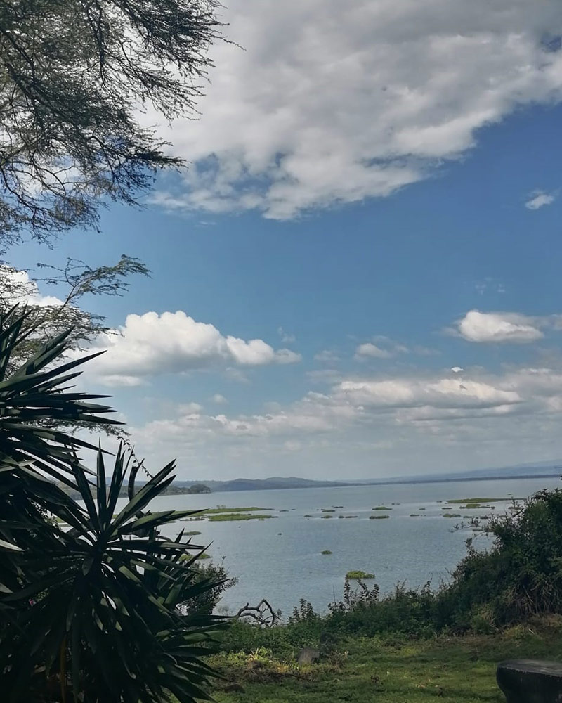 beautiful view of lake naivasha at elsamere restaurant naivasha south lake places to eat