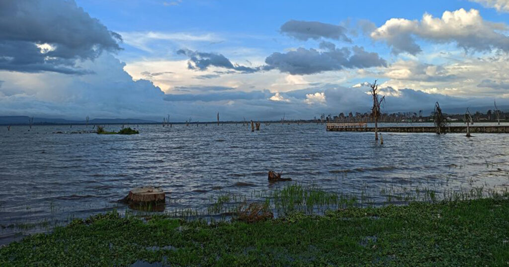 Lake Naivasha Moi South Lake Road Boat Ride View of Lake