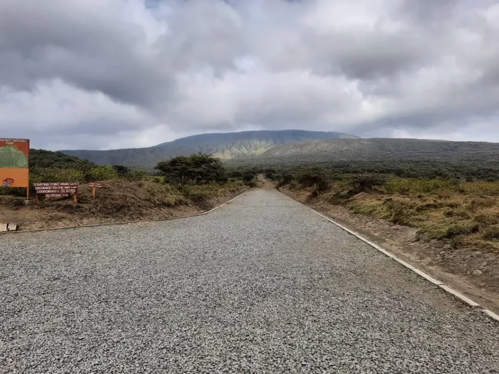 Mount Longonot - hiking Mount Longonot first kilometre flat path whistling acacia