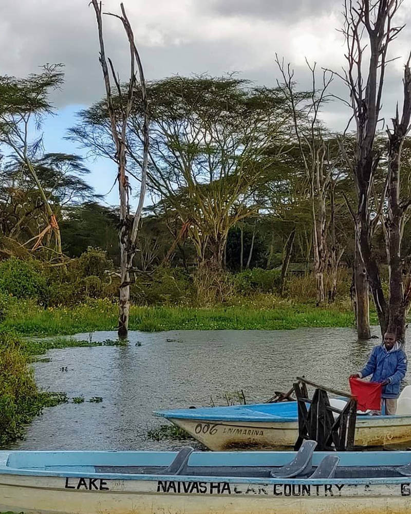 Boat Ride on Lake Naivasha-Boats on the lake with a view of acacia yellow fever trees