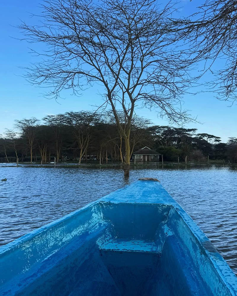 Walking Safari - How to get to Crescent Island Naivasha by Boat
