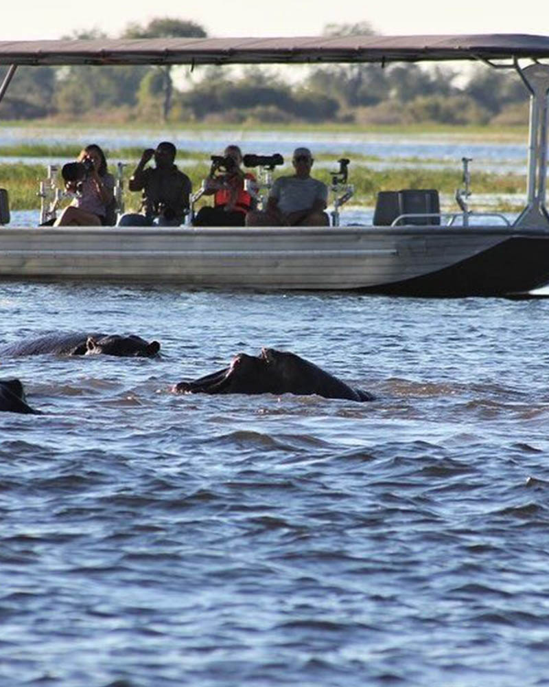 Boat Ride on Lake Naivasha-Hippo spotting and views of the Lake