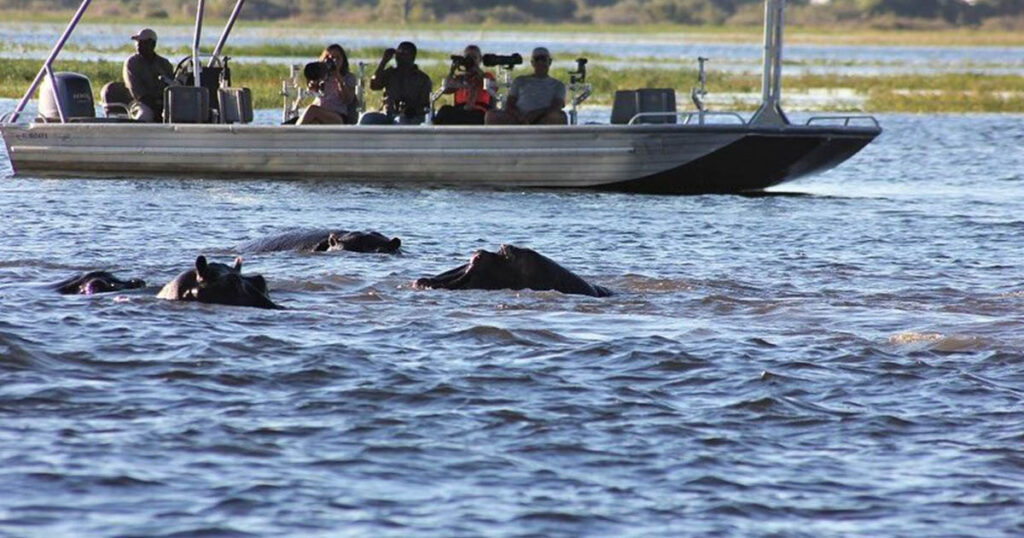 Boat Ride on Lake Naivasha-Hippo spotting and views of the Lake