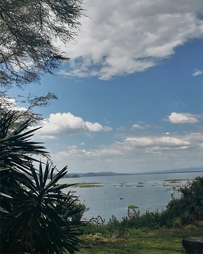 Lake side lawn setting-High Tea at Elsamere Conservation