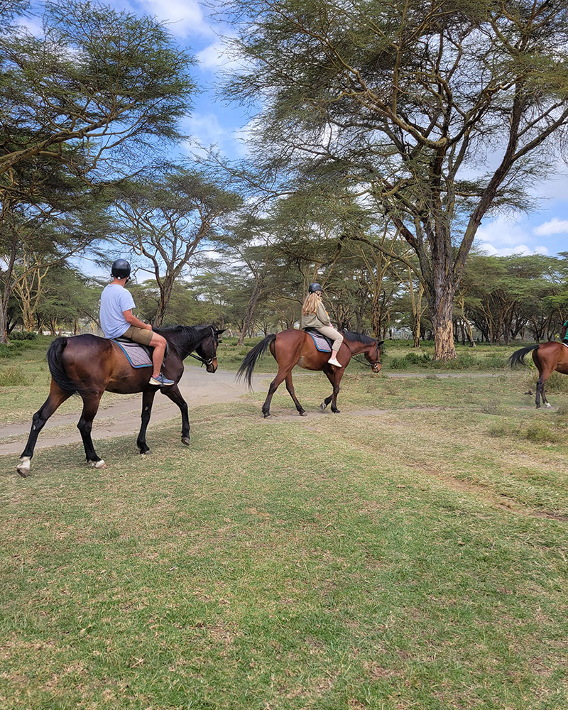 horse riding at sanctuary farm in naivasha